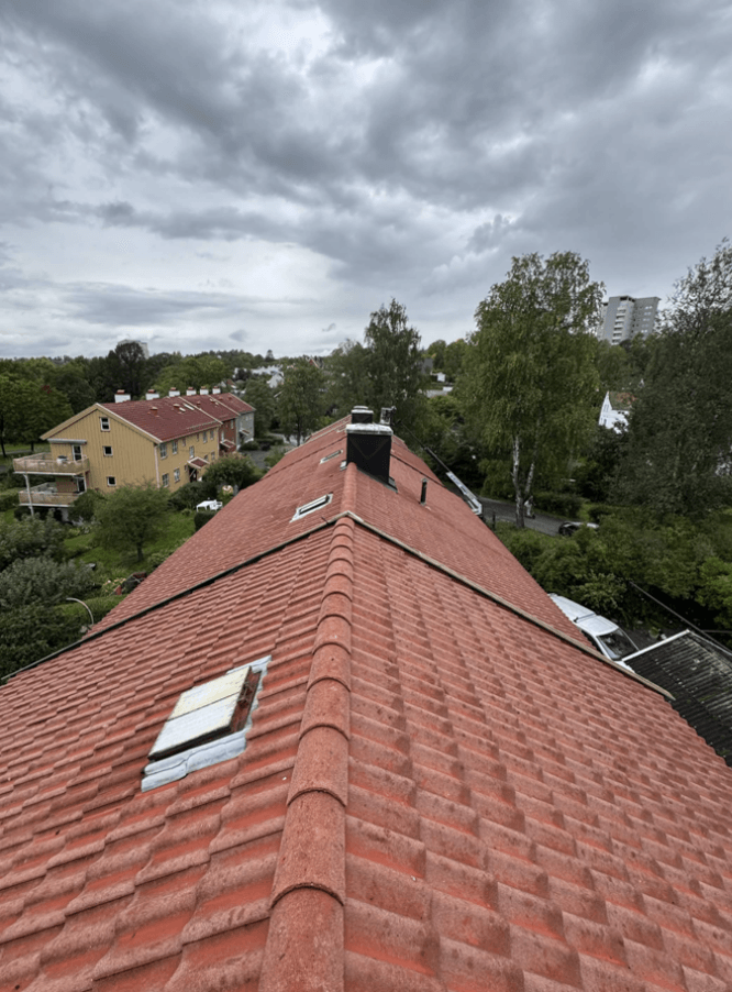 Takvask - tak renset skånsomt for mose og lav